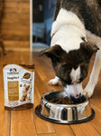 PetShrooms 7 natural pet supplement mushroom powder for dogs and cats supporting immunity and vitality