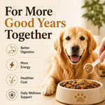 PetShrooms 7 natural pet supplement mushroom powder for dogs and cats supporting immunity and vitality