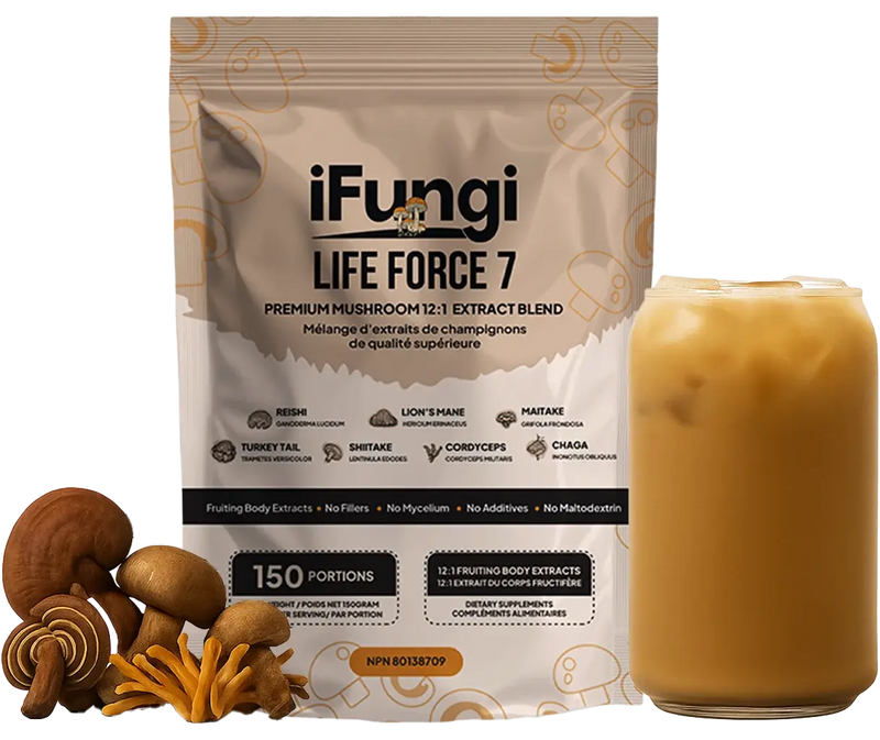 2025 in Mushrooms: Top Health Benefits of Mushroom Powder