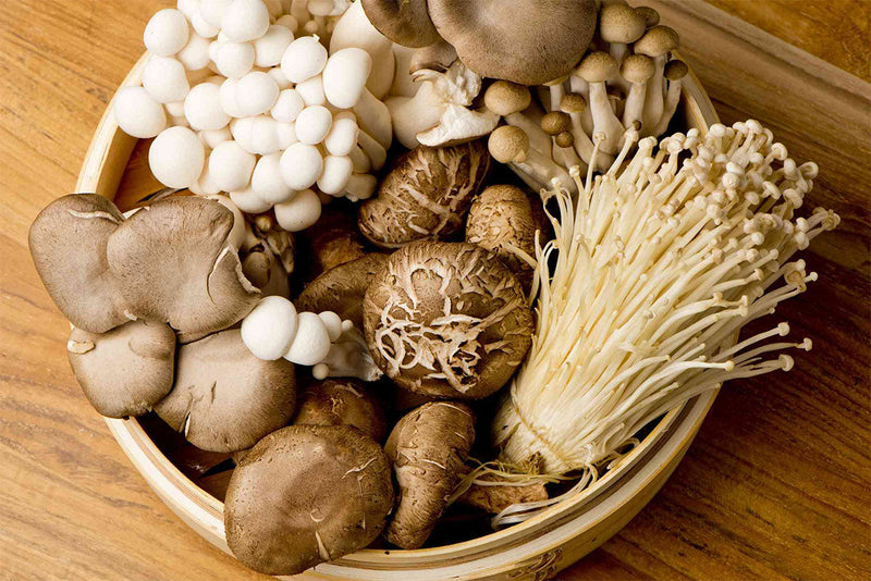 How to Add Mushroom Powder to Thanksgiving Recipes (Without Changing the Flavor)