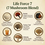 Life Force 7 premium mushroom powder with 7 functional mushroom extracts for natural energy and mental clarity
