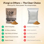 Life Force 7 natural mushroom powder with 7 functional mushroom extracts for energy, focus, and wellness