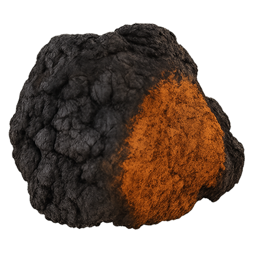Chaga