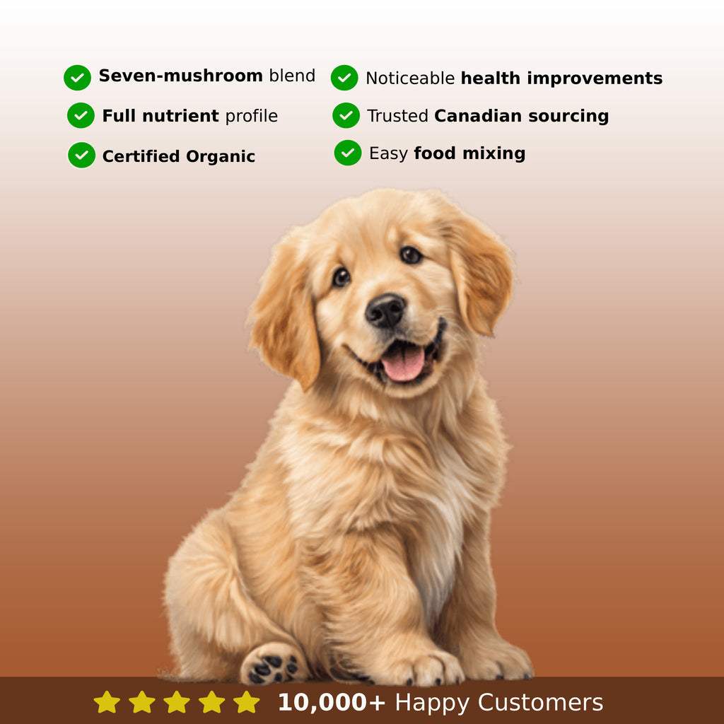 PetShrooms 7 full spectrum mushroom powder natural pet supplement for dogs and cats