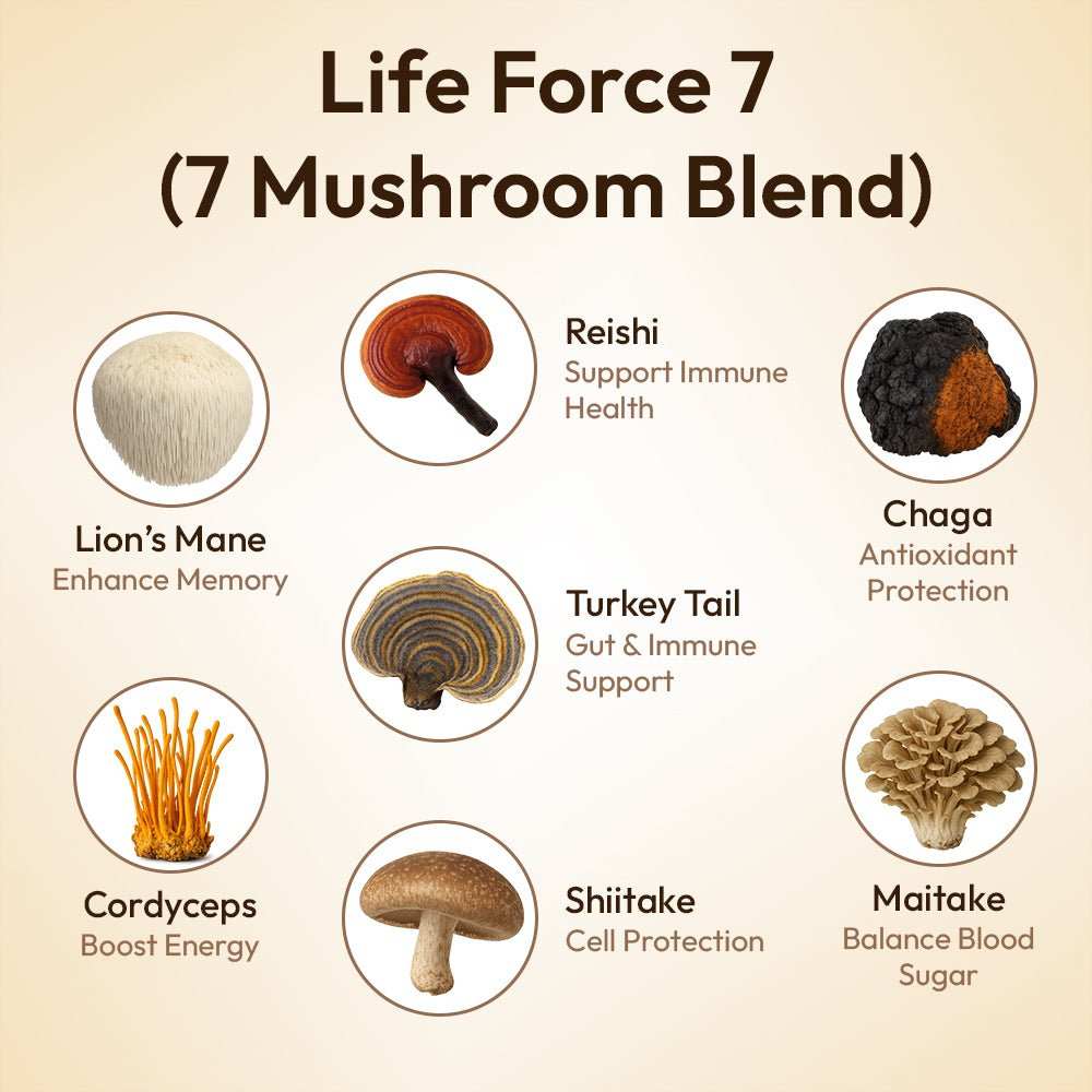 Life Force 7 premium 12:1 extract mushroom powder for natural energy and mental clarity