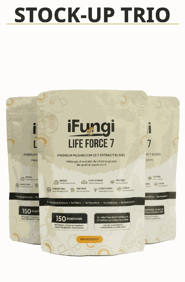 Life Force 7 natural mushroom powder blend for energy, focus, and wellness with 7 functional mushroom extracts