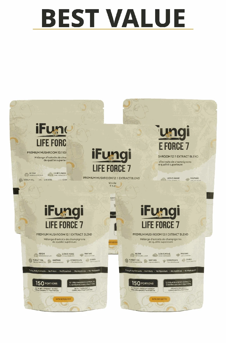 Life Force 7 natural mushroom powder with 7 functional mushroom extracts for focus and energy