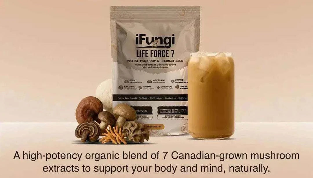 Life Force 7 natural mushroom powder with 7 functional mushroom extracts for energy, focus, and wellness
