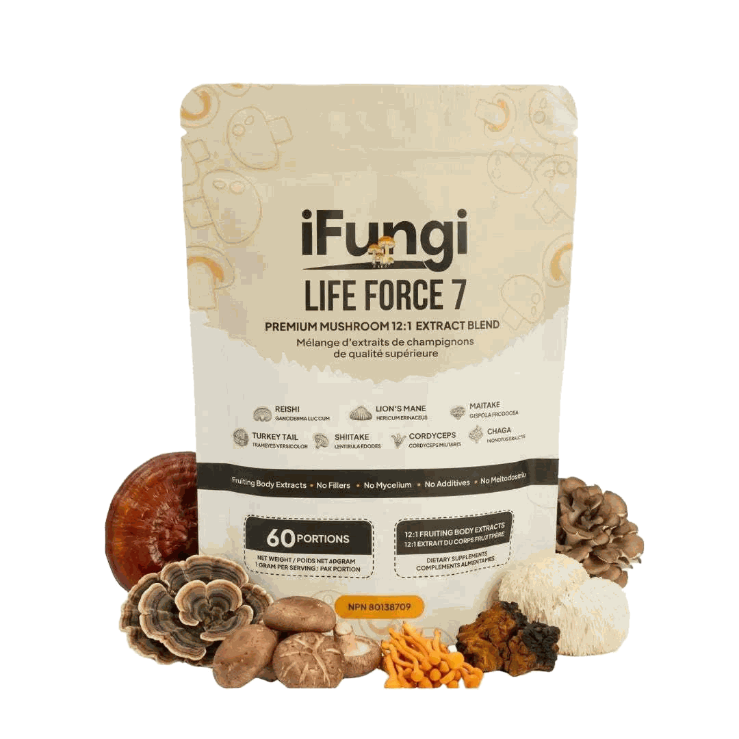 Life Force 7 mushroom powder with 7 functional mushroom extracts for natural energy, mental clarity, and immune support