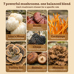 7 powerful mushrooms, one balanced blend - Lion's Mane, Reishi, Cordyceps, Chaga, Turkey Tail, Shiitake, Maitake and their roles