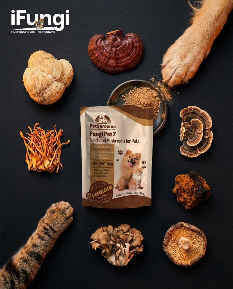 PetShrooms 7